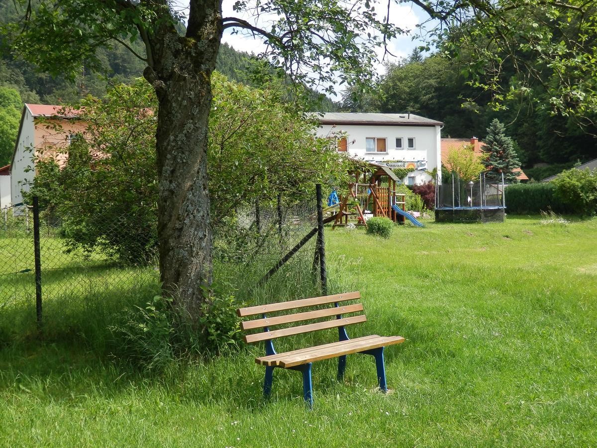 Hotel Und Gasthof "Sonneneck" Schalkau Екстериор снимка